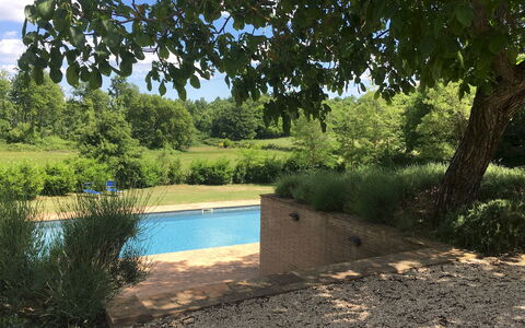 Villa Carmeli 12+2: Schwimmbad, Garten, Schatten, Hinterhof, Landscaping, Immergrün