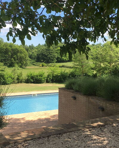 Villa Carmeli 12+2: Schwimmbad, Garten, Schatten, Hinterhof, Landscaping, Immergrün