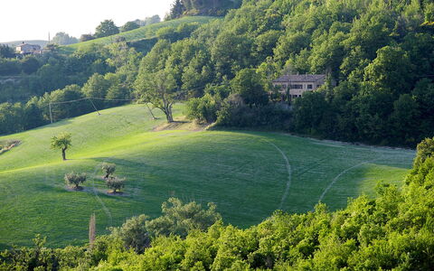 Casa Melograno 11+2: Grün, Gras, Baum, Natürlichen Umgebung, Natur, Vegetation, Natürliche Landschaft, Wiese, Landschaft, Einfach