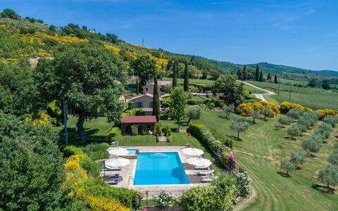 Casal Parro 6: Strauch, Grundstueck, Garten, Estate, Schwimmbad, Ground, Plantage, Landscaping, Resort, Wiese