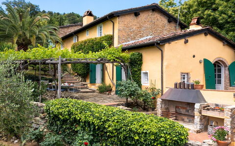 Villa Marraccini 8: Strauch, Garten, Hütte, Schatten, Hazienda, Estate, Hinterhof, Eco Hotel, Landscaping, Garten