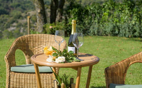 Casale Tavernelle 6: Möbel, Gartenmöbel, Stuhl, Tabelle, Tisch Im Freien, Wicker, Garten, Holzbeize, Terrasse, Kaffetisch