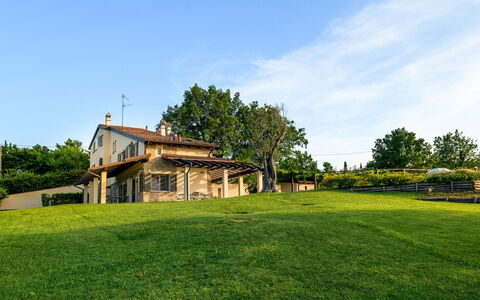 Villa Pergola 8: Gras, Landschaft, Grundstueck, Ländliches Gebiet, Einfach, Zuhause, Rasen, Bauernhaus, Hütte, Estate