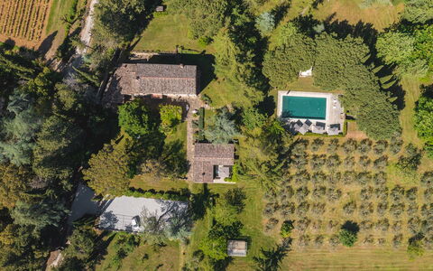 Villa Metelliano 10: Estate, Garten, Hütte, Schwimmbad, Landscaping, Plantage, Hinterhof, Hazienda, Eco Hotel, Immergrün