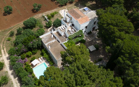 Masseria Tarsia Incuria 8+4: Baum, Wohngebiet, Zuhause, Estate, Vogelperspektive, Menschliche Siedlung, Luftaufnahmen, Vorort, Design, Villa