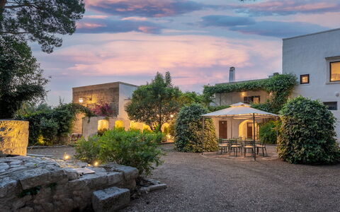 Masseria Tarsia Incuria 8+4: Strauch, Die Architektur, Zuhause, Grundstueck, Estate, Garten, Landscaping, Hazienda, Garten