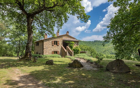 Casale Mollina 6+2: Baum, Gras, Natürliche Landschaft, Haus, Hütte, Strauch, Ländliches Gebiet, Zuhause, Estate