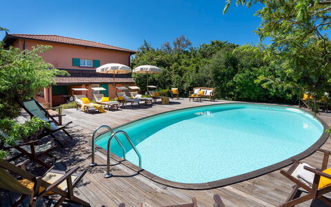 Villa Corallina 12: Schwimmbad, Gartenmöbel, Resort, Eco Hotel, Stuhl, Freizeit, Regenschirm, Hazienda, Villa, Schatten