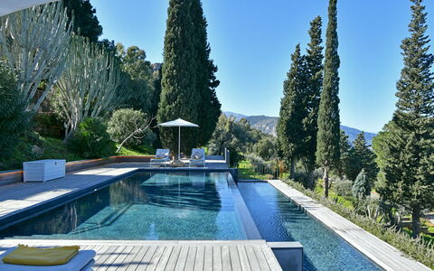 Villa Armonia 8: Blau, Schwimmbad, Immergrün, Landscaping, Water Feature, Lärche, Pine Familie
