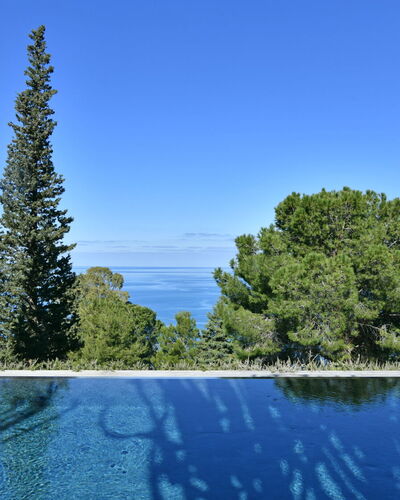 Villa Armonia 8: Blau, Schwimmbad, Immergrün, Tropen, Lärche, Pine Familie