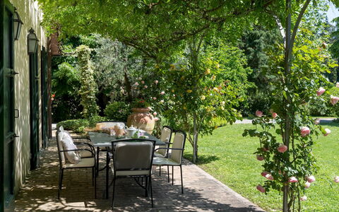 Villa Paesante 8: Grün, Blatt, Vegetation, Garten, Strauch, Pflanzengemeinschaft, Schatten, Frühling, Ground
