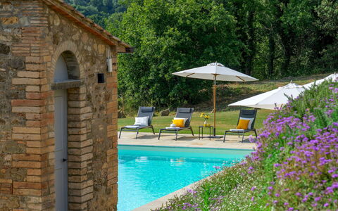 Villa Il Pozzo 14: Strauch, Schwimmbad, Estate, Garten, Hütte, Hazienda, Bauernhaus, Landscaping, Gartenmöbel, Villa