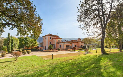 Tenuta Esdra 20: Strauch, Estate, Garten, Hazienda, Landscaping, Rasen, Garten, Villa, Villa