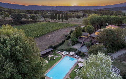 Podere Giardino 16+2: Schwimmbad, Resort, Estate, Hazienda, Eco Hotel, Garten, Hinterhof, Garten, Villa, Landscaping