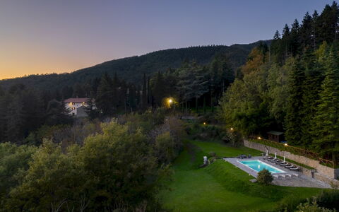 Villa la Rassinata 8: Landschaft, Wald, Bergstation, Lärche, Dschungel, Landscaping, Tropische Und Subtropische Koniferenwald, Immergrün