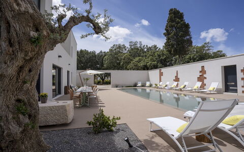 Villa Maria Paradiso 10: Zuhause, Verbundwerkstoff, Estate, Schatten, Beton, Landscaping, Schwimmbad, Hof, Garten, Design