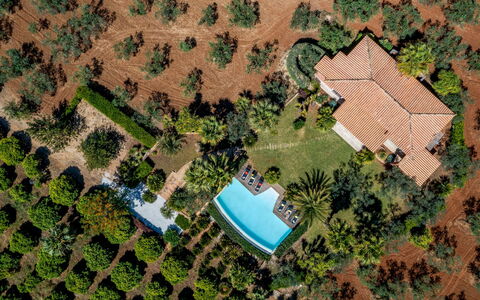 Villa Pineta 6: Baum, Schwimmbad, Landschaft, Resort, Estate, Eco Hotel, Garten, Landscaping, Hazienda