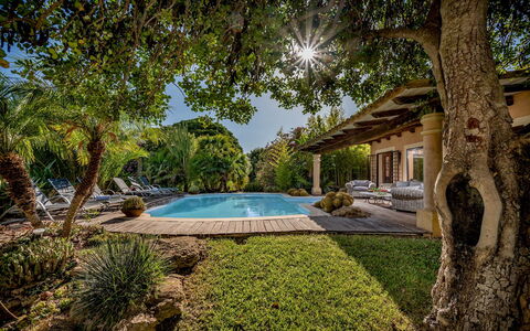 Villa Ashram 6: Schwimmbad, Baum, Resort, Schatten, Gartenmöbel, Eco Hotel, Estate, Garten, Landscaping