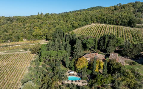 Castellare in Poggio 10: Vegetation, Landschaft, Ländliches Gebiet, Grundstueck, Plantage, Estate, Dorf, Garten, Landscaping, Eco Hotel