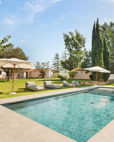Casale Rondinella 6+2: Baum, Schwimmbad, Garten, Grundstueck, Landscaping, Schatten, Resort, Rasen, Estate, Eco Hotel