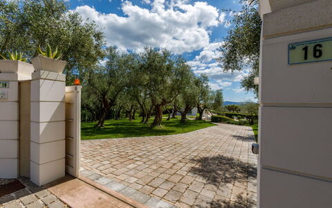 Villa Mandara 8+2: Strauch, Garten, Schatten, Landscaping, Walkway, Park, Hinterhof