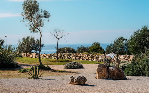 Kyvos 10: \Fels, Landschaft, Landscaping, Tropen