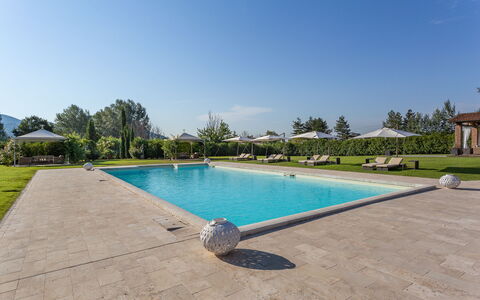 Villa Ginevra 12: Schwimmbad, Garten, Resort, Schatten, Landscaping, Eco Hotel, Gartenmöbel, Rasen, Estate, Hazienda