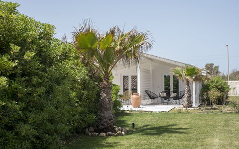 Baia L'Aura 8: Strauch, Haus, Zuhause, Hütte, Garten, Schatten, Landscaping, Gehölz, Estate