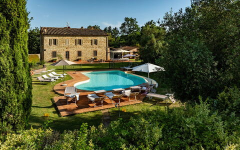 Podere Sant'Eugenio 14: Schwimmbad, Estate, Bauernhaus, Hazienda, Plantage, Landwirtschaft, Villa, Eco Hotel, Bauernhof, Resort