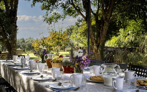 Il Castellare 14: Geschirr, Möbel, Tabelle, Tischdecke, Servierware, Drinkware, Garten, Dishware, Tisch Im Freien
