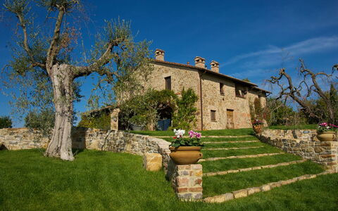 Terra San Raffaele 10+3: Gras, Landschaft, Wiese, Grundstueck, Ländliches Gebiet, Einfach, Bauernhaus, Estate, Hütte