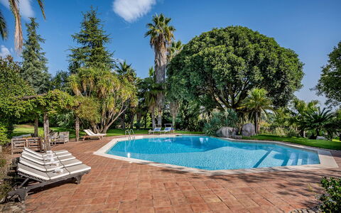 Linera 10: Schwimmbad, Baum, Resort, Schatten, Eco Hotel, Garten, Landscaping, Estate, Hazienda