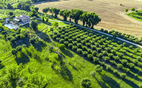 Casa Sant'Elia 7+3: Landschaft, Ländliches Gebiet, Einfach, Grundstueck, Landwirtschaft, Plantage, Feld, Bergstation, Wiese, Bauernhof