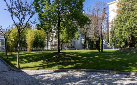 Villa la Perla Bianca 10: Ast, Blatt, Daytime, Baum, Gras, Grün, Öffentlicher Raum, Wohngebiet, Rasen, Schatten