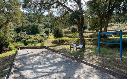 Villa Perelle 8: Baum, Öffentlicher Raum, Erholung, Freizeit, Schatten, Park, Boden, Weg, Wald