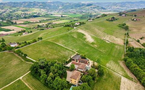 Tenuta Schiavon Barrero 12: Landwirtschaft, Einfach, Landschaft, Feld, Plantage, Vogelperspektive, Ländliches Gebiet, Grundstueck, Menschliche Siedlung, Luftaufnahmen