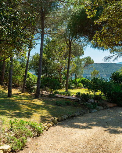 Villa Il Faro 10: Blatt, Baum, Natur, Grün, Ast, Vegetation, Strauch, Pflanzengemeinschaft, Garten, Kofferraum