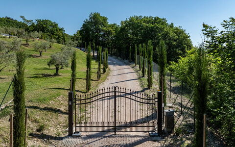 Villa Mamon 6+2: Strauch, Tor, Zaun, Garten, Weg, Landscaping, Walkway, Home Fechten, Auffahrt, Park