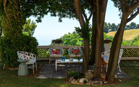Villa Fiola 8: Grün, Möbel, Garten, Sommer, Strauch, Gartenmöbel, Rasen, Frühling, Schatten
