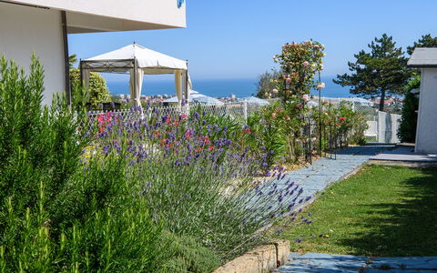 Villa Alma 8+2: Blume, Strauch, Garten, Landscaping, Schatten, Garten, Botanischer Garten, Walkway