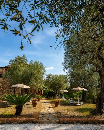 Casale le Lupe Apartments: Garten, Estate, Hazienda, Landscaping, Bauernhaus, Garten, Villa, Schatten, Hinterhof, Auffahrt