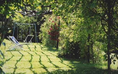 La Cenerara: Grün, Natur, Baum, Gras, Garten, Rasen, Sonnenlicht, Blatt, Botanik, Frühling