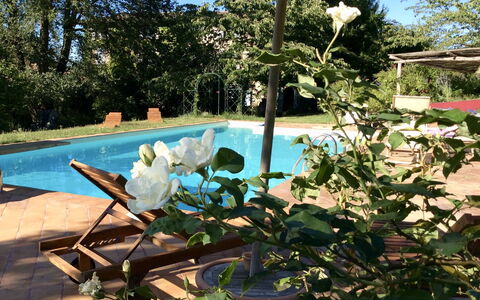 La Cenerara: Eigentum, Blume, Pflanze, Grundeigentum, Botanik, Haus, Schwimmbad, Baum, Zuhause, Villa