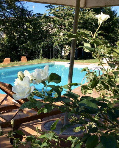 La Cenerara: Eigentum, Blume, Pflanze, Grundeigentum, Botanik, Haus, Schwimmbad, Baum, Zuhause, Villa