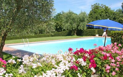 Rielli: Schwimmbad, Eigentum, Blume, Garten, Pflanze, Botanik, Baum, Frühling, Freizeit, Grundeigentum