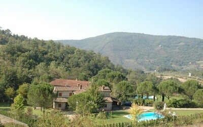 Molino