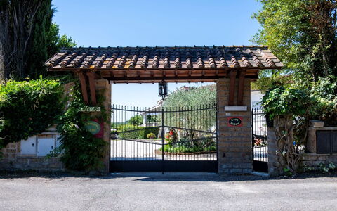 Casa Grion: Baum, Landschaft, Grundstueck, Ländliches Gebiet, Park