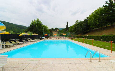 Casale Aiola: Wasser, Himmel, Pflanze, Wolke, Schwimmbad, Grün, Baum, Azurblau, Gras, Freizeit