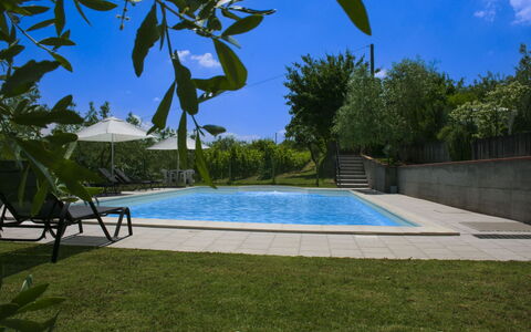 Podere San Bono: Schwimmbad, Gartenmöbel, Resort, Schatten, Garten, Eco Hotel, Landscaping, Hinterhof, Sonnenliege, Estate