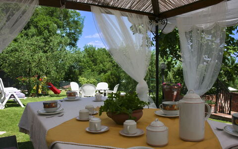 Podere San Bono: Möbel, Stuhl, Tabelle, Tischdecke, Gartenmöbel, Tisch Im Freien, Schatten, Linens, Garten, Hinterhof